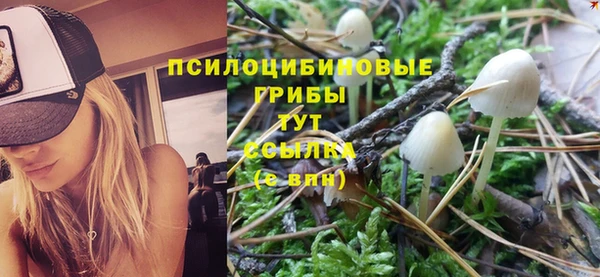 тгк Алзамай