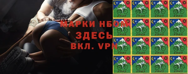 тгк Алзамай