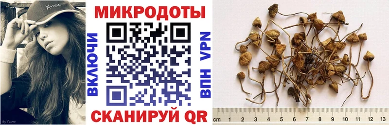 купить наркотик  Бердск  Галлюциногенные грибы мицелий 